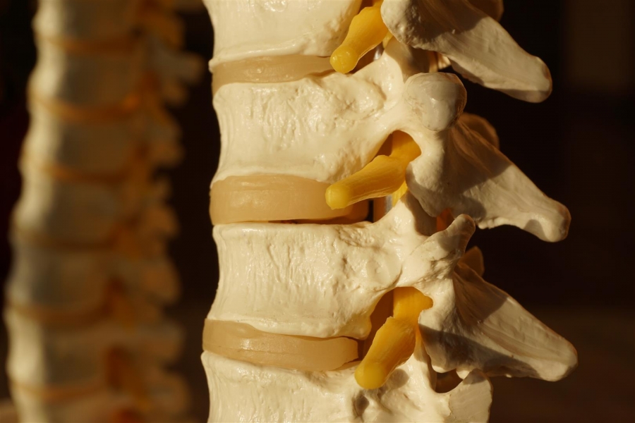 Osteopatía estructural